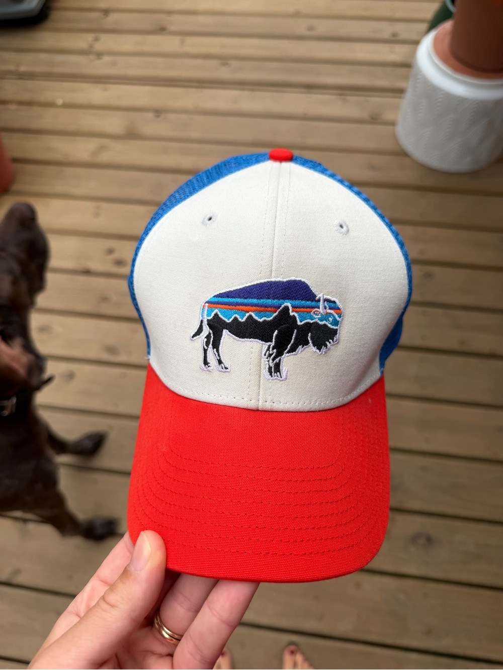 Patagonia Red, White & Blue Trucker Hat with Buffalo Patch